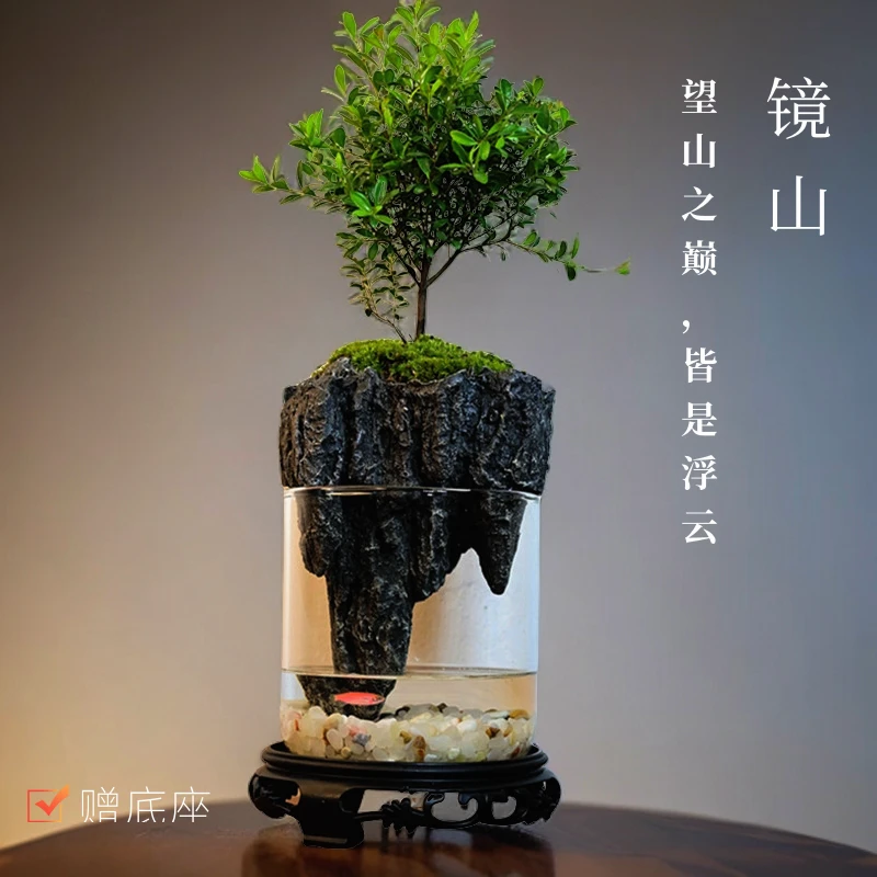 【镜山】叶赤楠养鱼桌面景观 创意斗鱼缸 苔藓懒人植物 12*12客厅