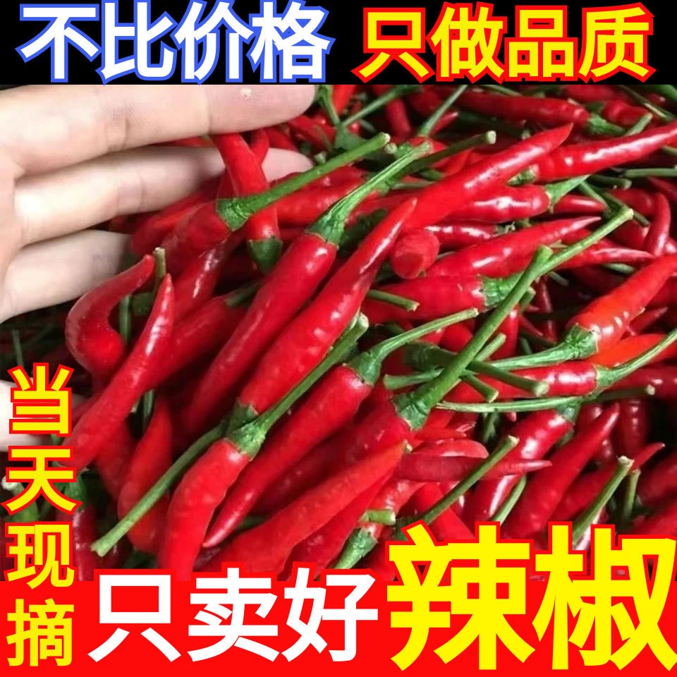 新鲜小米椒现摘现发全红朝天椒特辣薄皮辣椒