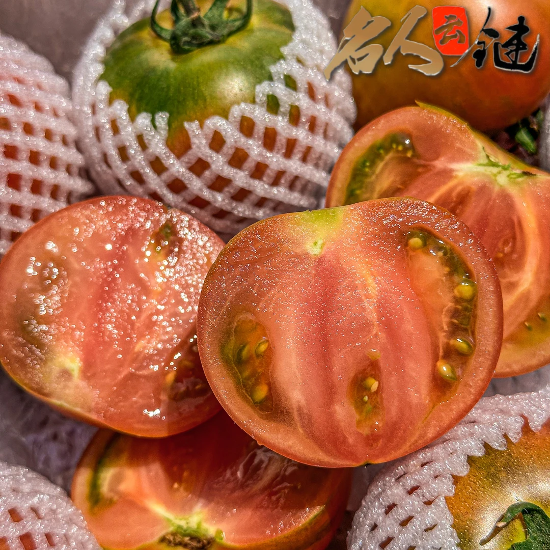 名人一号盘锦碱地柿子草莓番茄盐碱地口感东北丹东铁皮柿子西红柿