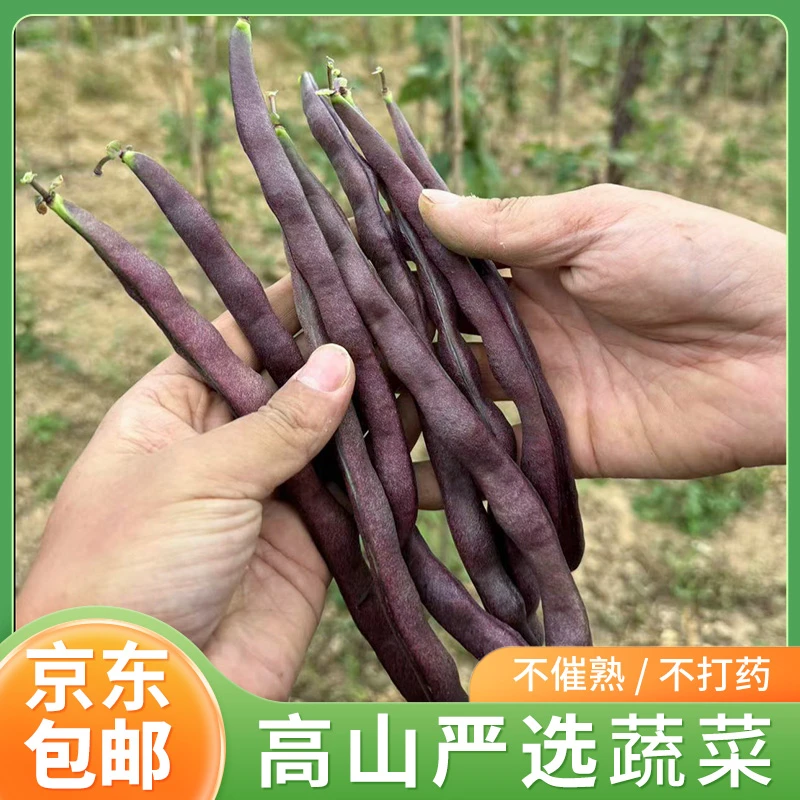 【京东包邮】湖北恩施天然含硒露天新鲜紫红四季豆农家自种高山蔬菜