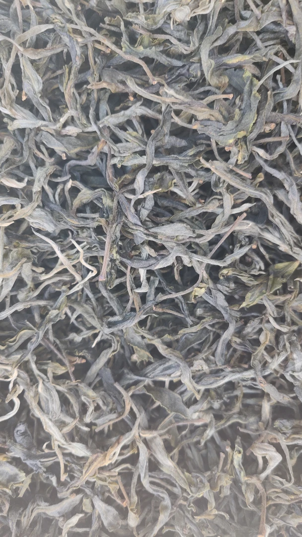 2025年小户赛红土地古树春散茶