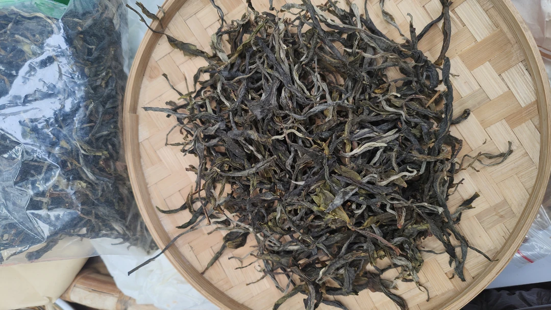 2024年冰岛坝歪古树秋茶