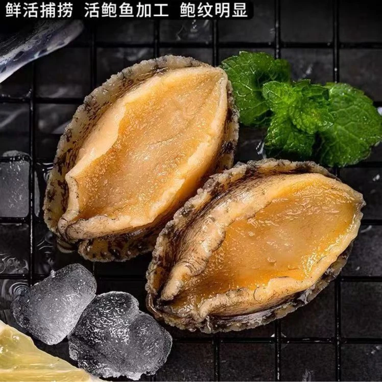 大个鲍鱼肉 用8-10头鲍鱼去壳 20只左右/包  500g左右 含保鲜冰