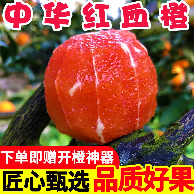 现摘秭归中华红血橙玫瑰橙红肉脐橙甜橙新鲜水果当季酸甜3斤-9斤