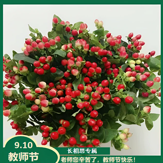 【年宵纳福/不拍保温棉冻坏不售后】红豆  鲜花 两单以上包邮