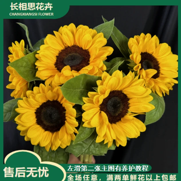 【年宵纳福】小花黑心向日葵 任意2单以上发货包邮 鲜花直发