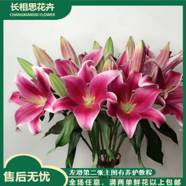【年宵纳福/不拍保温棉冻坏不售后】不选品粉百合鲜花两单以上包邮