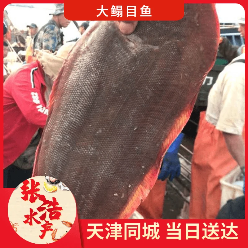【张浩海鲜】目鱼 鳎目鱼 2.5斤左右一条 天津市内六区当日达