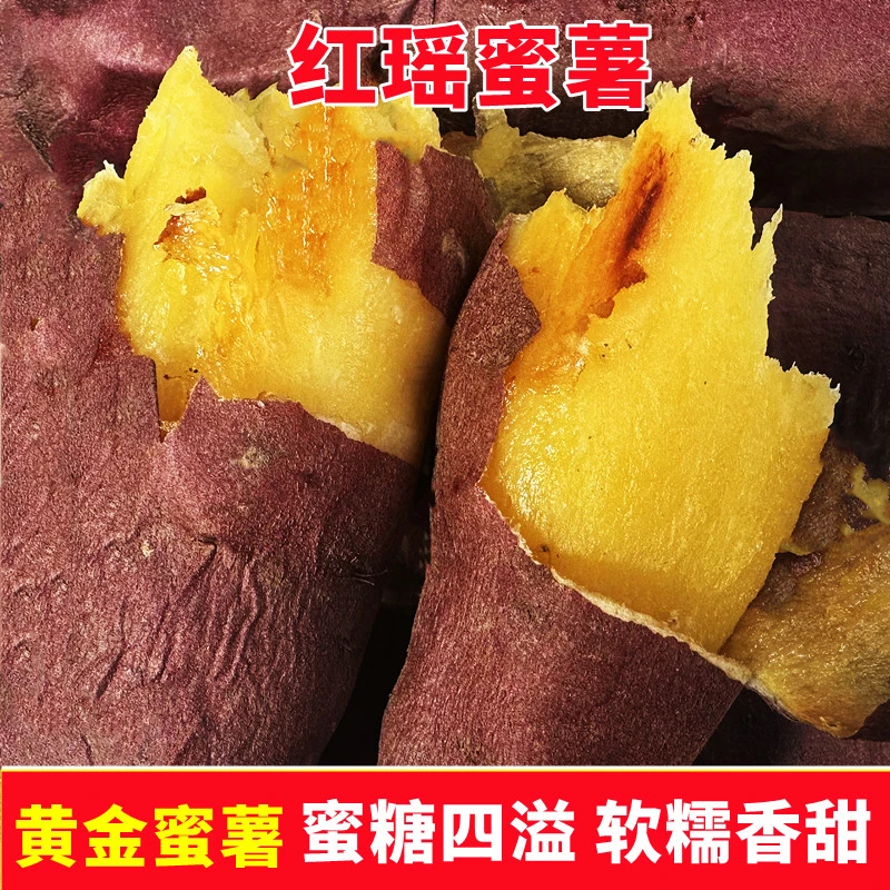 新鲜红瑶红薯黄心蜜薯金瑶榴莲地瓜产地直发糖心蜜薯番薯软糯蜜甜