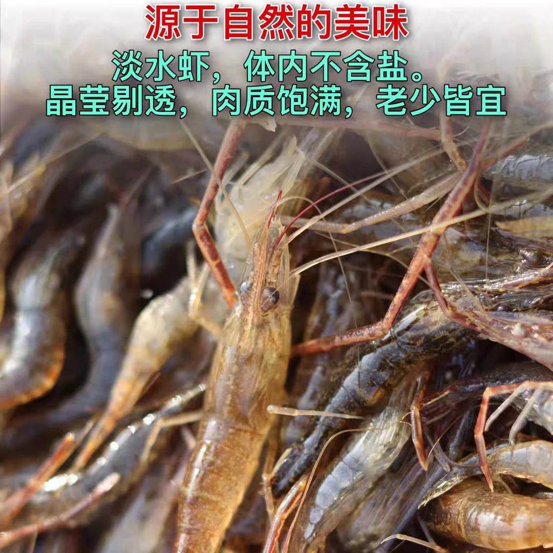 丹江口正宗河鲜小河虾补钙食用河鲜美味