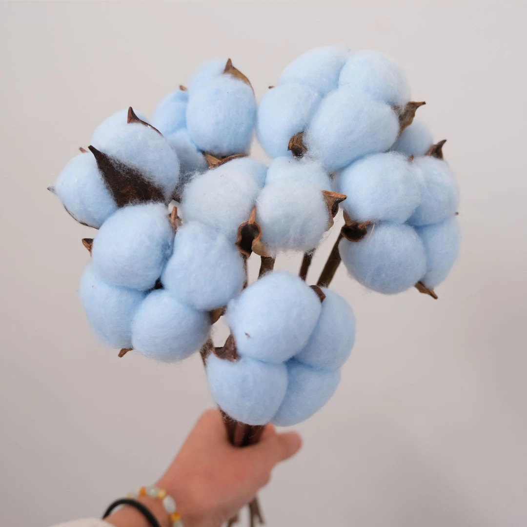 【花落谁家】棉花干花真花天然花束摆件桌面装饰摆设花艺用品ins风