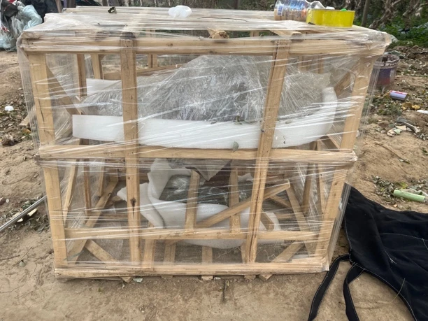 一物一拍灵芝盆景