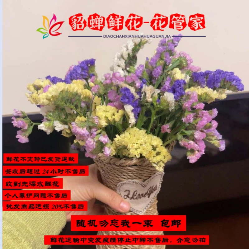干花  10把不选色勿忘我   不支持已发货退款