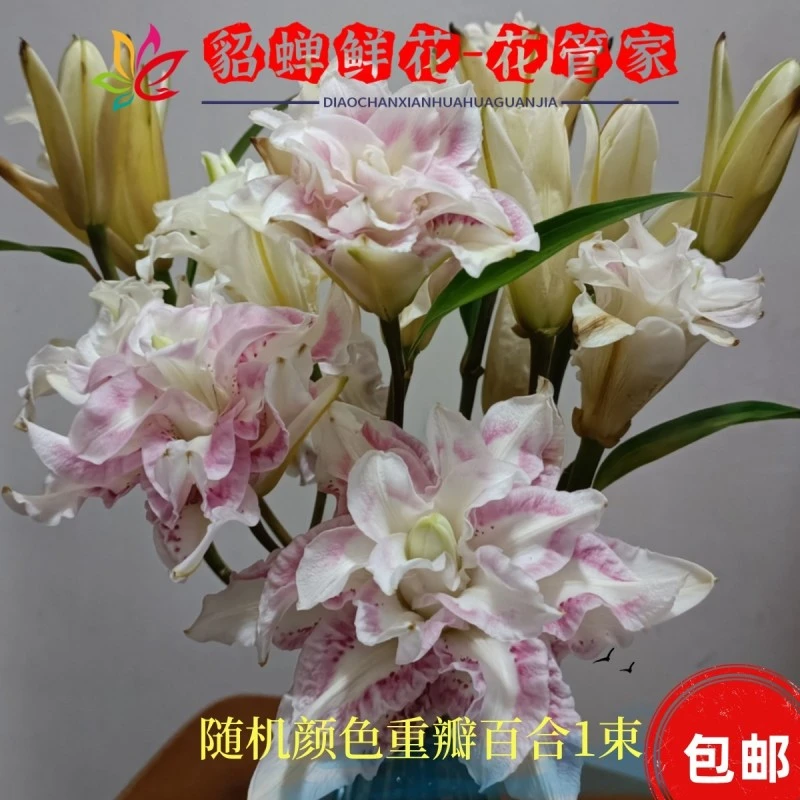鲜花   10支3头重瓣百合  不选色 不支持已发货退款