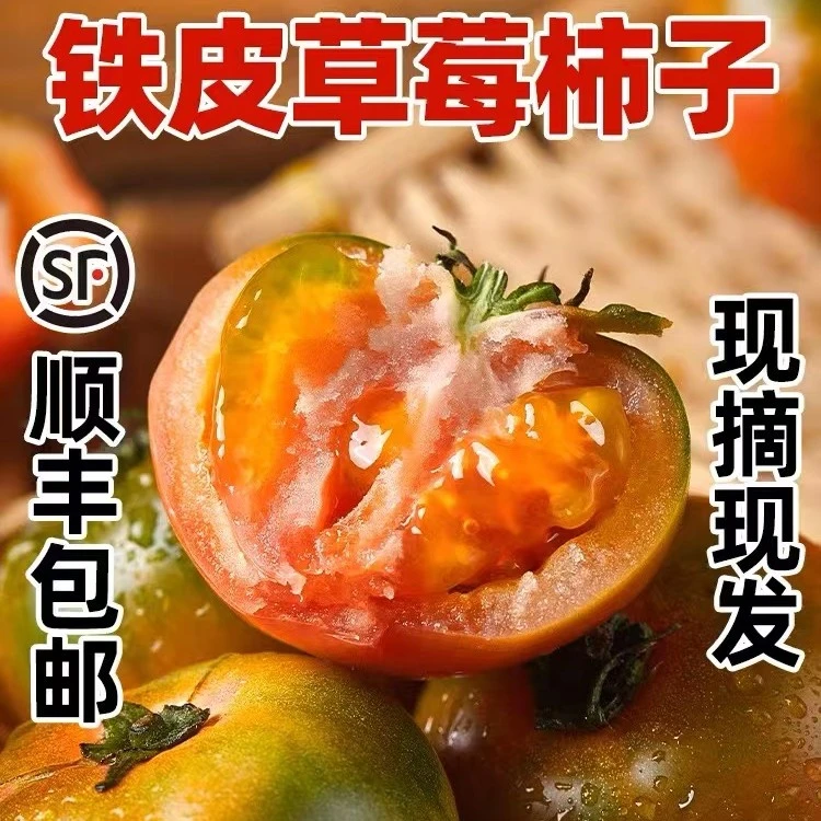 丹东铁皮草莓柿子西红柿3-5斤盘锦碱地即食新鲜绿腚番茄水果正宗