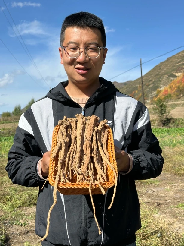（岷县老党参）岷县大山野外自然生长，自然晾晒，滋补煲汤