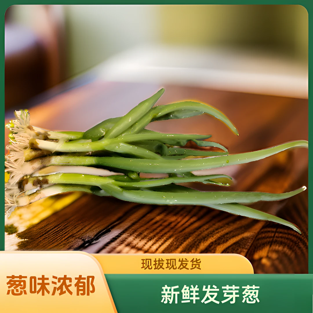 黑龙江农家自种大葱新鲜蔬菜红皮发芽葱嫩绿农村菜园现摘3斤/5斤