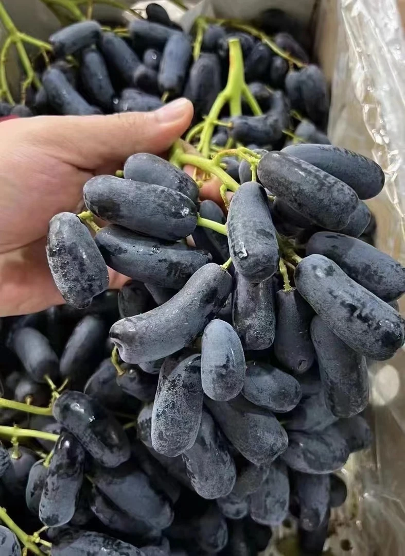 【果乐多甄选】澳洲进口黑手指葡萄