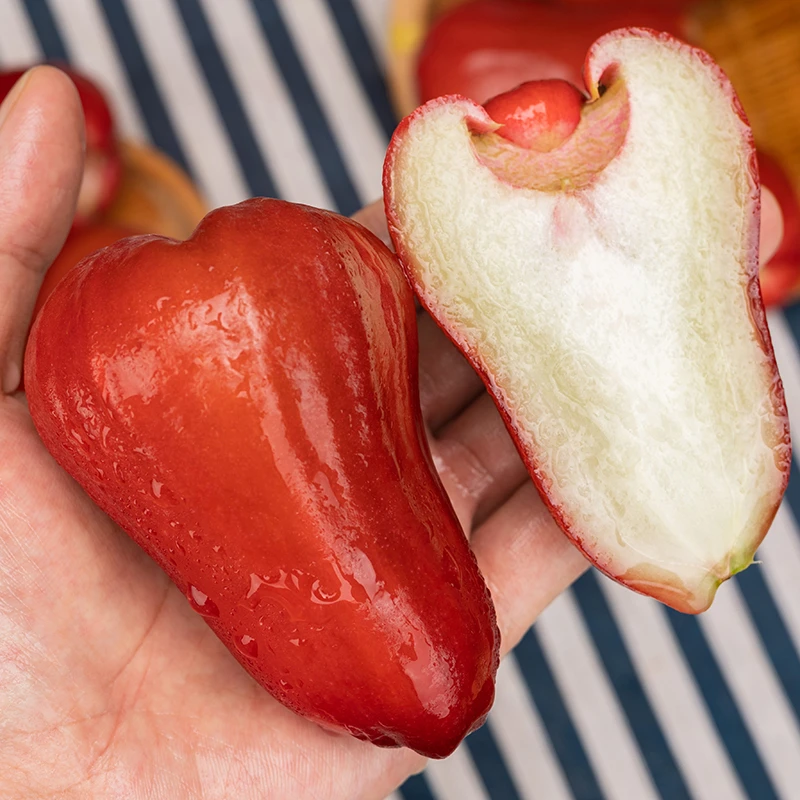 海南空运莲雾当季新鲜水果汁水充足雾莲整箱空只发川渝