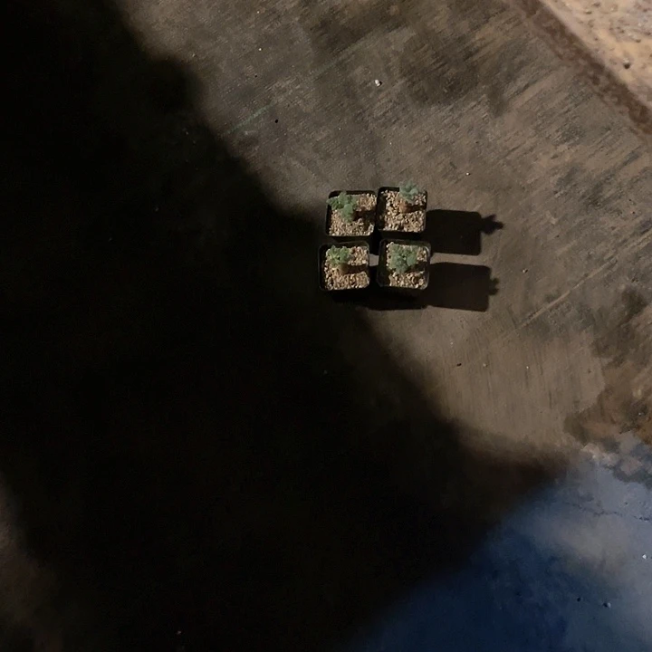 满38包邮，2天凑单，不足38运费不退