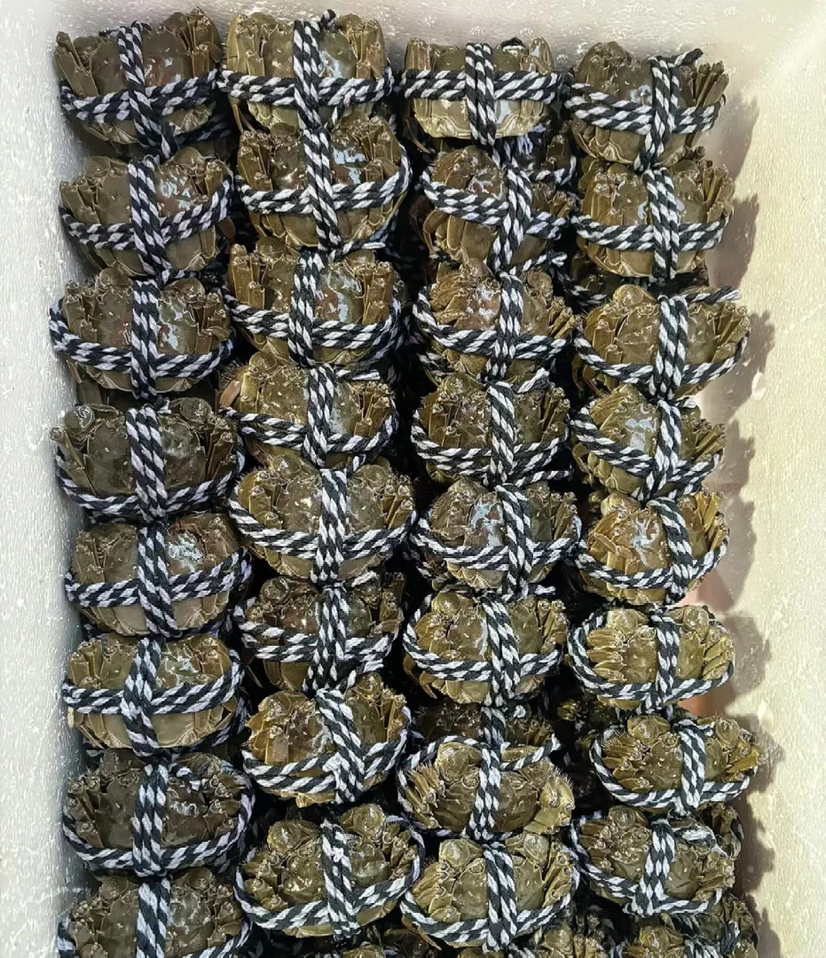 大闸蟹2母规格的
