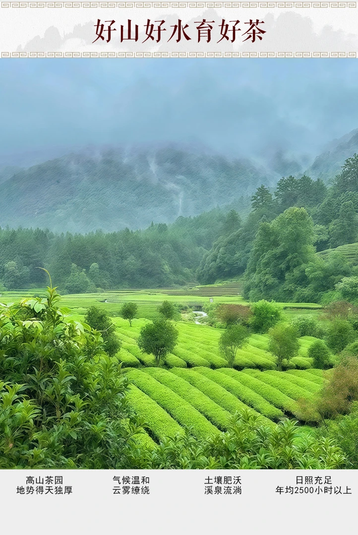 直播专属【正岩肉桂全家福】高火肉桂