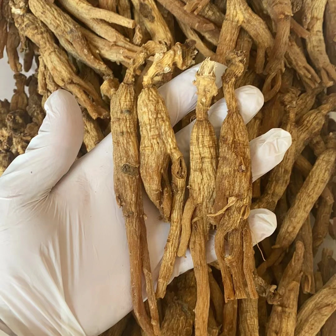 高年份高丽参芦头长年份老