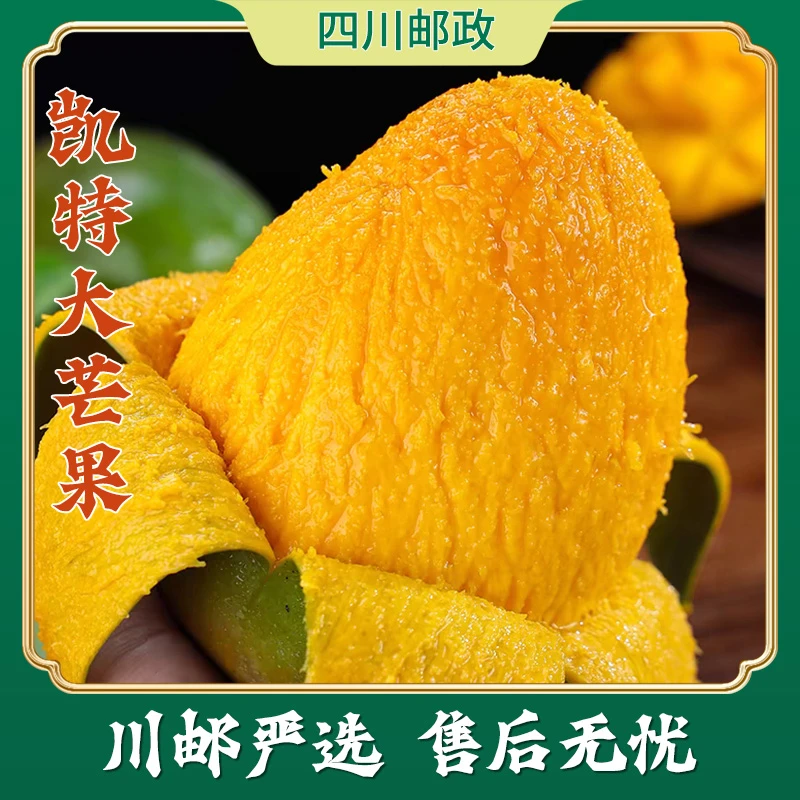 【川邮严选】四川攀枝花凯特芒带箱9.5-10斤单果400g起到手约4-11个