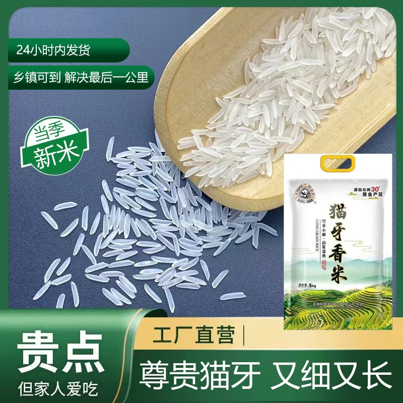 猫牙长粒香米饭绿色大米长粒香米10斤装泰国香米粥大米饭2025新米