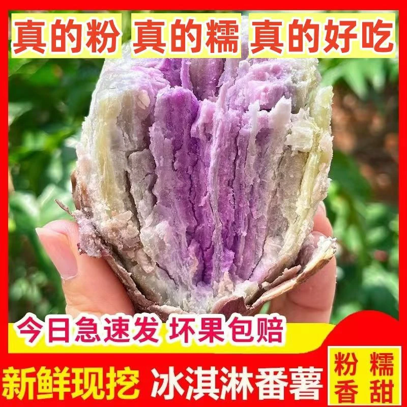 【15.9抢5斤】茂名冰淇淋红薯新鲜现挖沙地一点红番薯粗粮地瓜