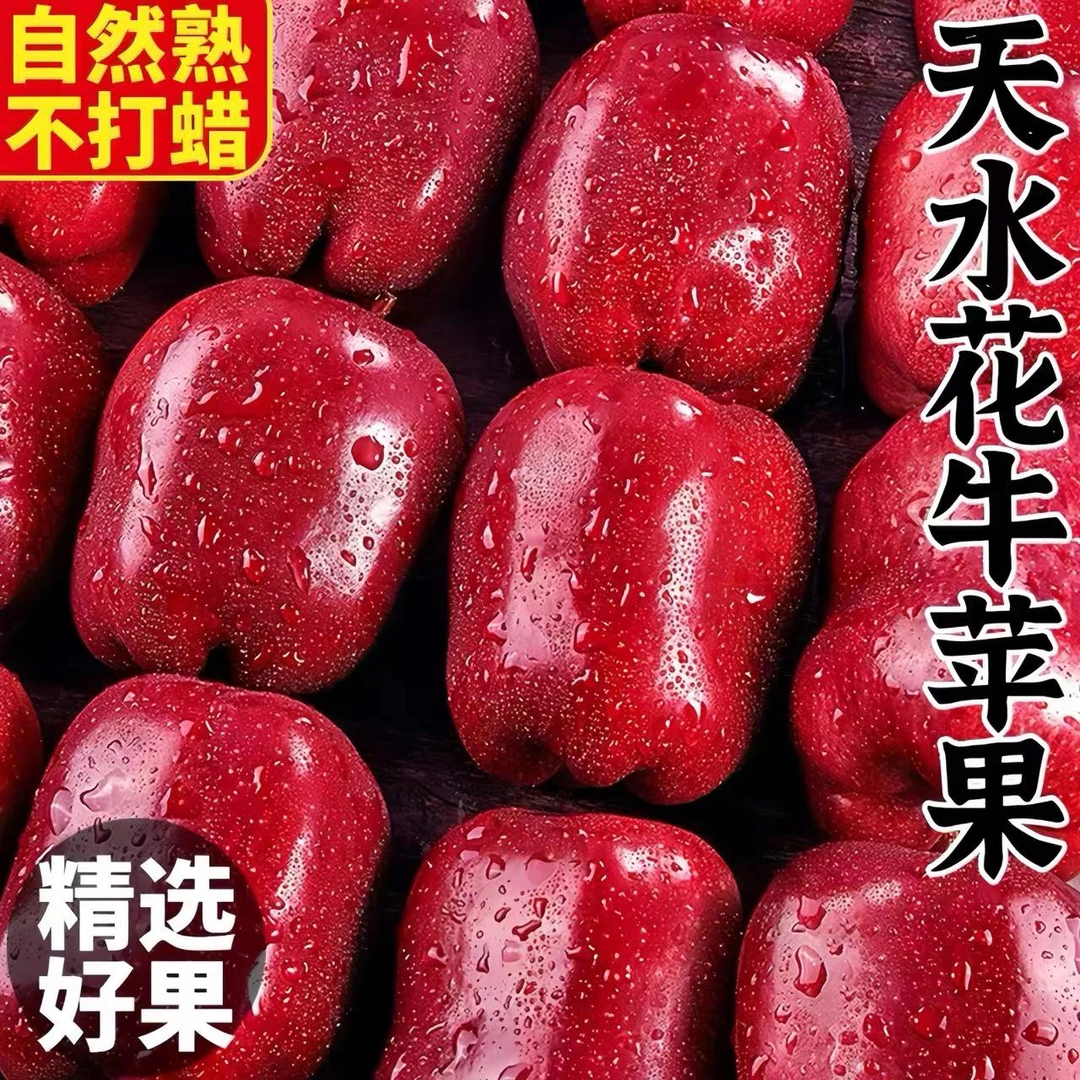 【24年新果】正宗甘肃天水花牛苹果