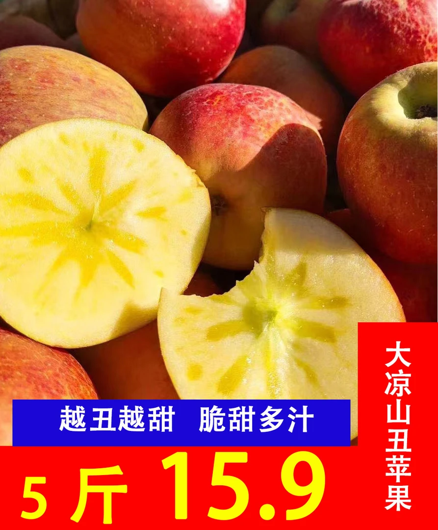 大凉山盐源县丑苹果