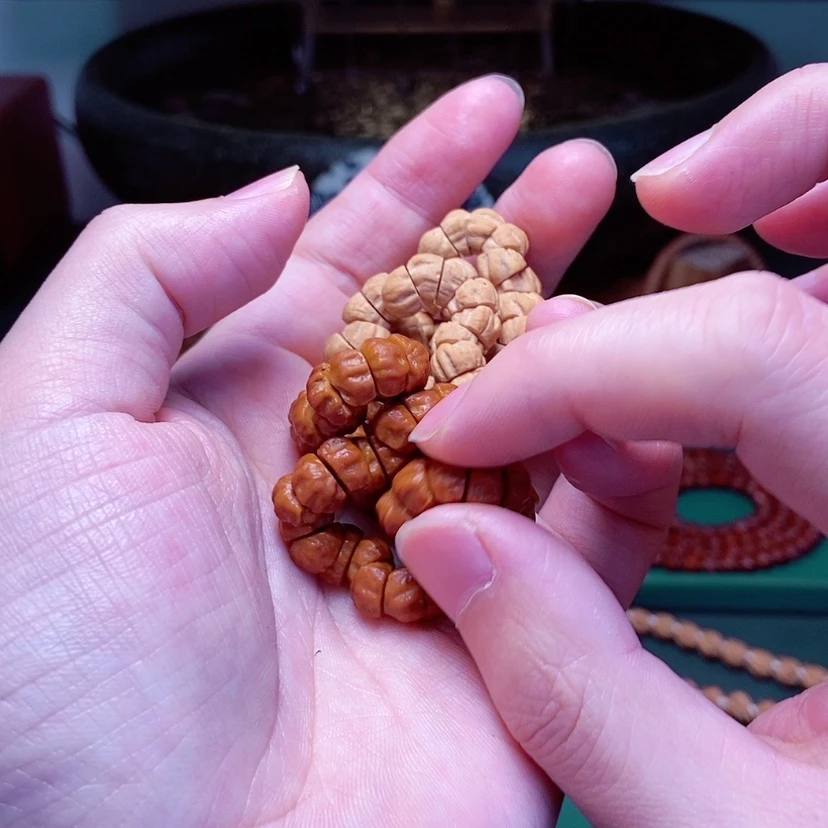 【闪购商品】柏香籽/百香籽吊坠155.5