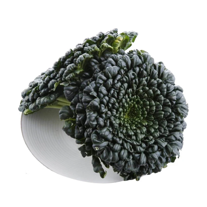 乌塌菜(500g)