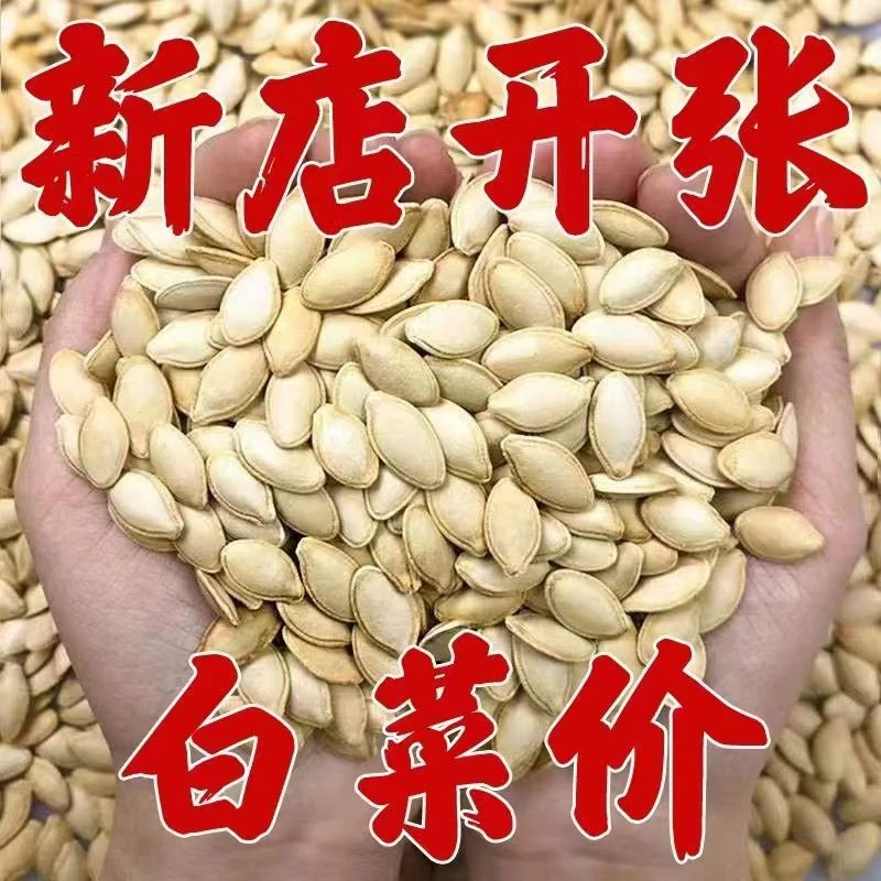 【特价清仓】精选大颗粒南瓜子原味炒熟特大颗粒南瓜籽批发零食大包