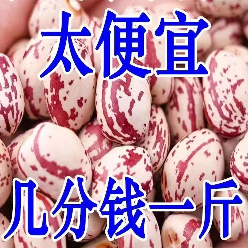 【首单直降】熊猫豆新货农家自产花芸豆猫眼豆花缸豆饭豆杂粮新鲜