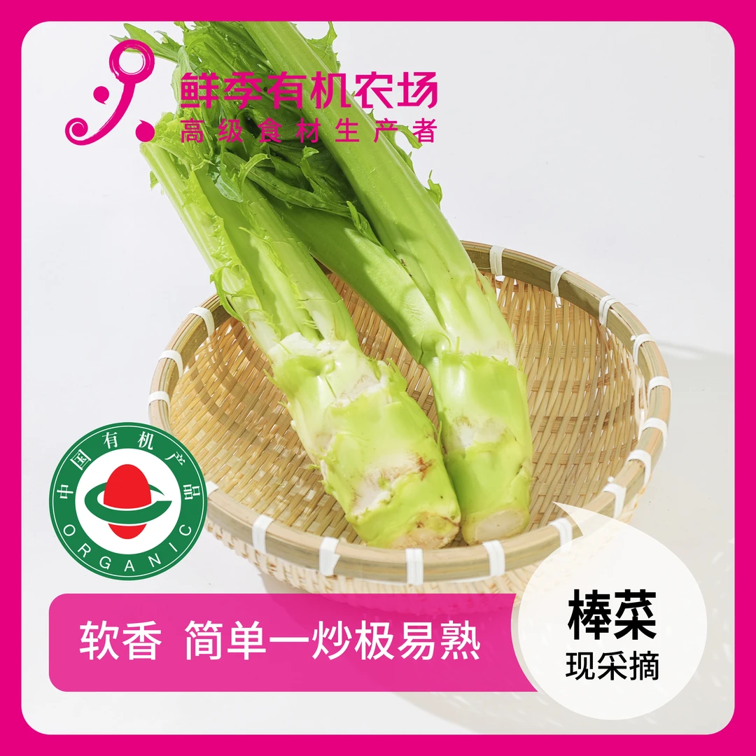鲜季全自产 有机棒菜500克 现采摘   现采摘 顺丰空运直达