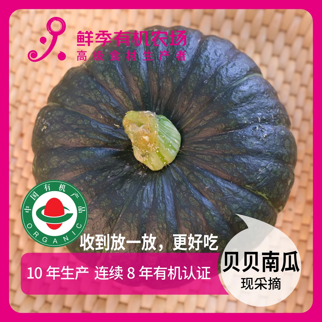 鲜季全自产 有机贝贝南瓜1个 500克 现采摘  放放更好吃