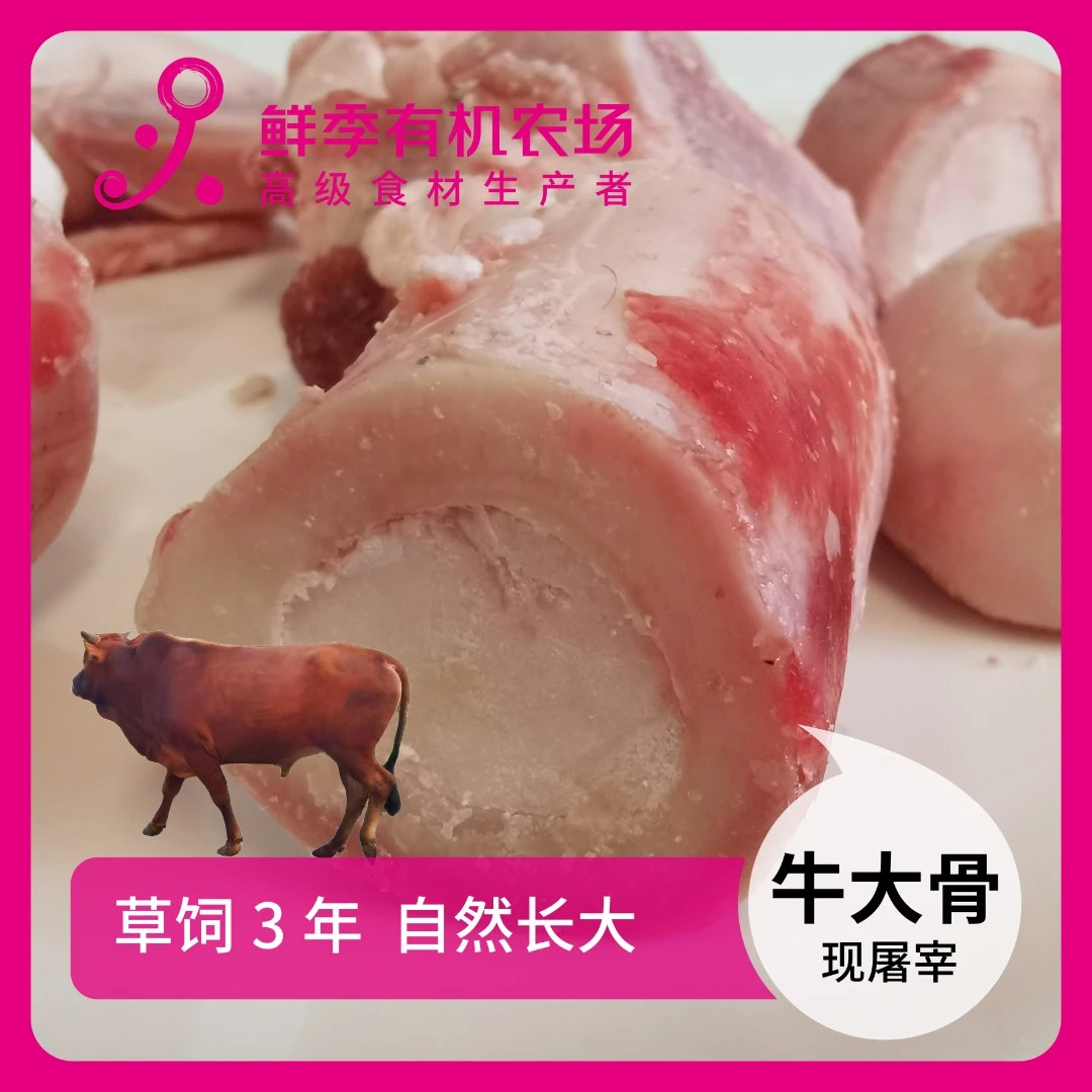 鲜季鲜季全自产 鲜牛大骨500克鲜屠宰/空运/草饲3年以上
