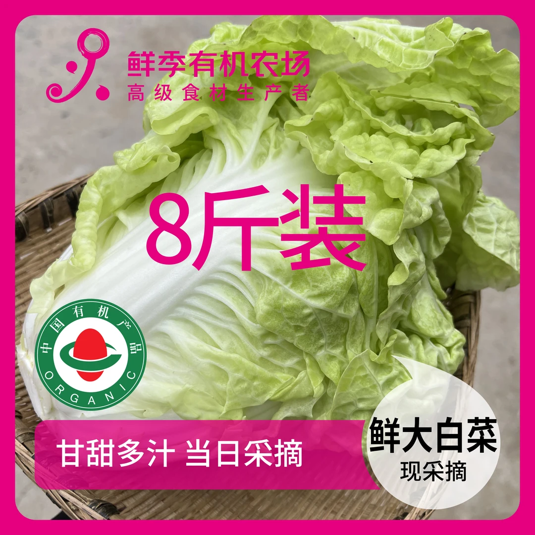 鲜季全自产 当前有抽苔 8斤装 有机鲜大白菜  4000克 现采 顺丰