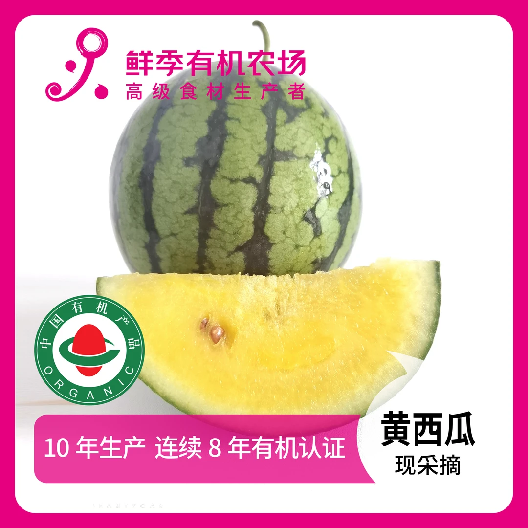 全自产 有机西瓜 2500克左右  现采摘 无保鲜剂  顺丰特快空运