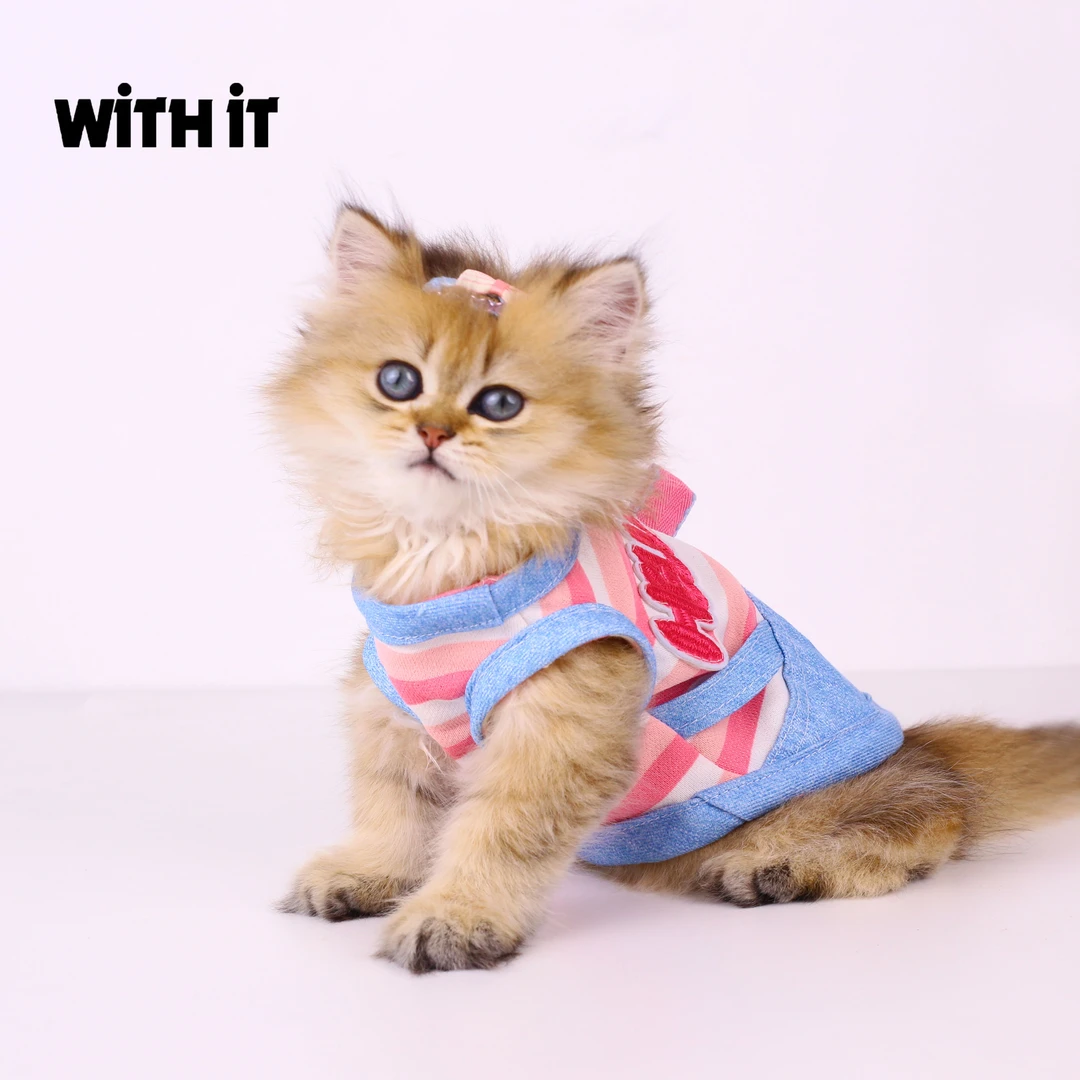 With it宠物衣服猫狗贴身四季款粉条纹拼接背心卫衣毛孩子日常