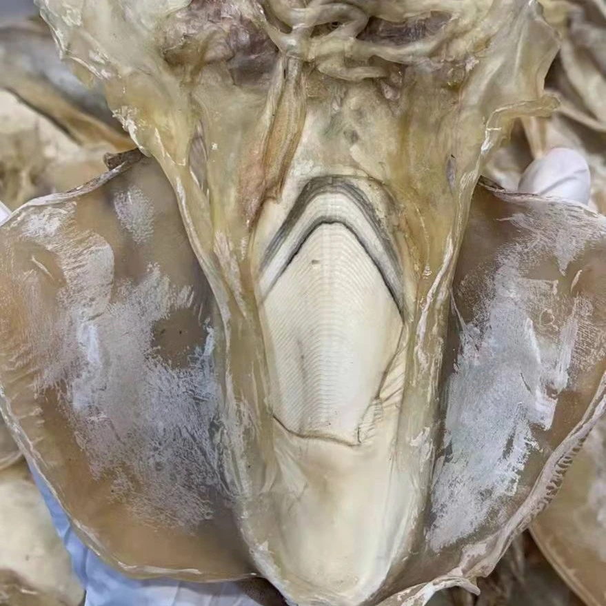 【爬爬姐臻选】莆田墨鱼干海产干货500g