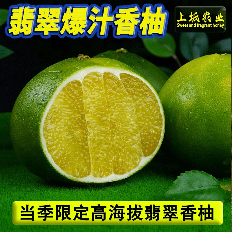 【翡翠爆汁柚】福建高海拔香水柚子青皮葡萄柚孕妇当季新鲜水果批发