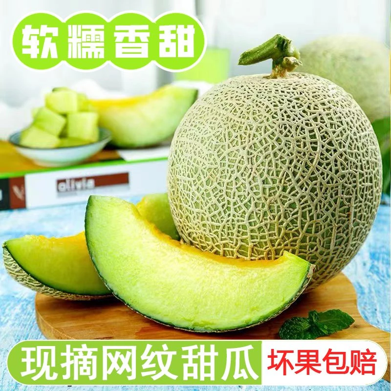 现摘海阳玫珑蜜瓜新鲜水果网纹瓜超甜瓜冰淇淋香瓜应季哈密瓜香甜