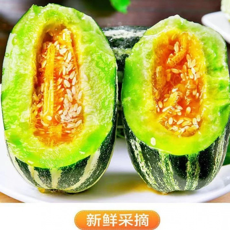 羊角蜜山东甜瓜香瓜蜜瓜九号薄皮当季新鲜水果现货酥脆包赔脆嫩1