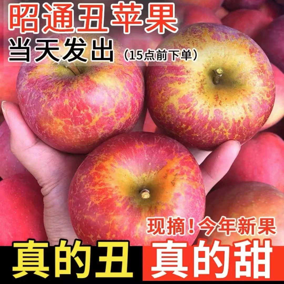 【包脆包甜】云南昭通正宗冰糖心丑苹果新鲜应季水果脆红萍果