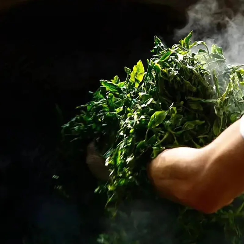 2019年濮家麻黑古树 生茶 50g  解散茶