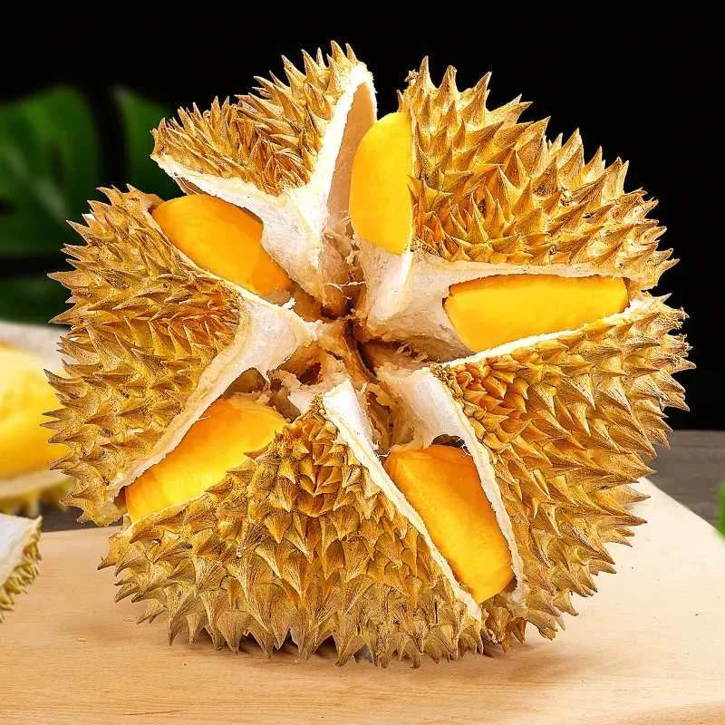 【2号】珠海同城【直播一果一拍】新鲜A果泰国金枕榴莲一果一重单个3-10斤肉厚核小默认开果泰国金枕金枕泰国东部