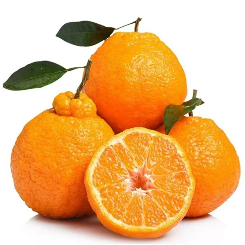 丑桔（980g-1000g）四川省